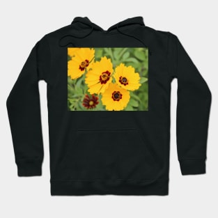 Yellow And Maroon Centers Hoodie